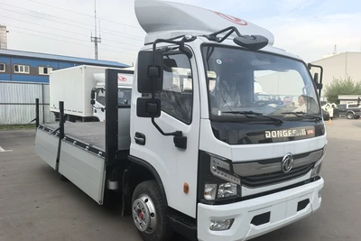 Dongfeng Z55N